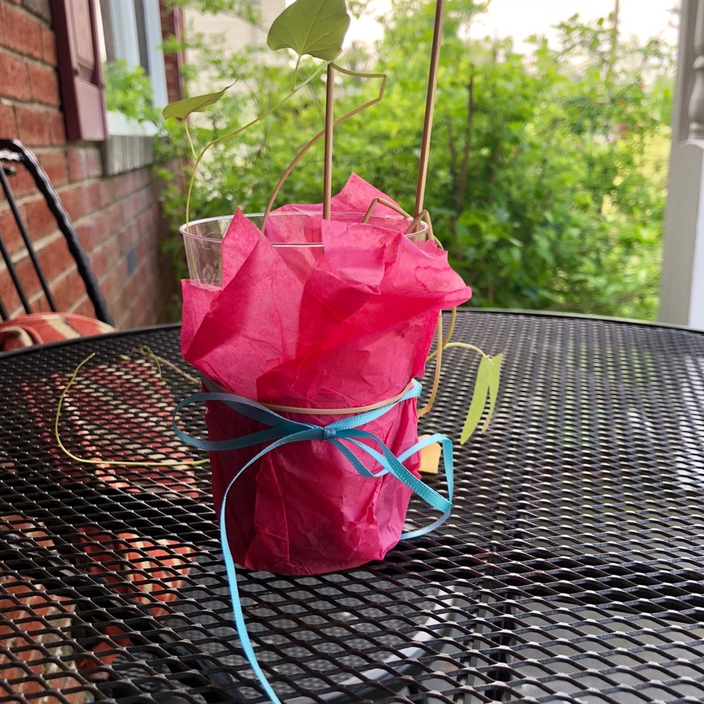 Meet your Posher, Manar